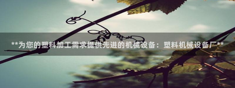 九游会j9