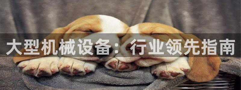 j9九游会真人游戏第一品牌