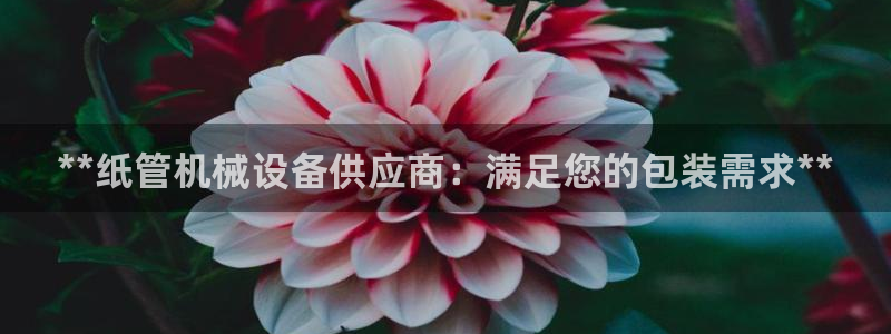 九游会ag老哥俱乐部入口