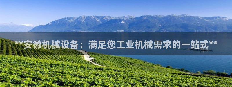 J9九游会官网app