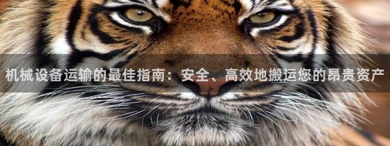 九游会是一个什么网站啊