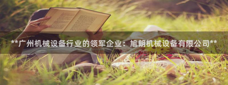 九游会中国入口嘛