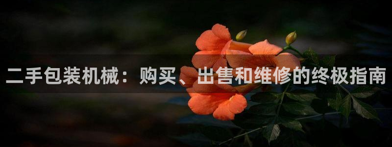 九游会关服吗