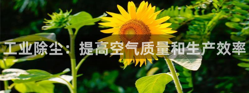 九游会登录网站吗
