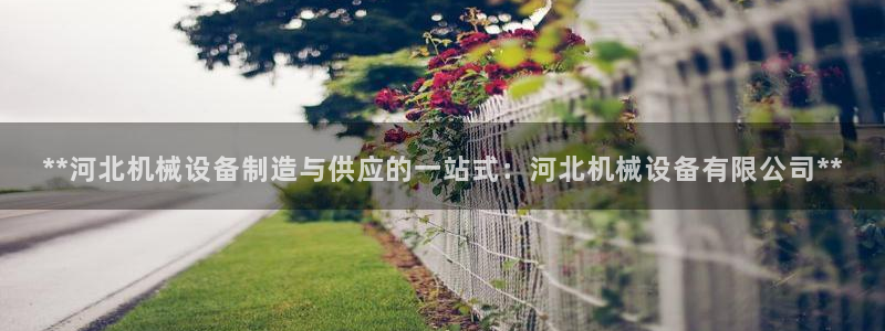 ag8九游