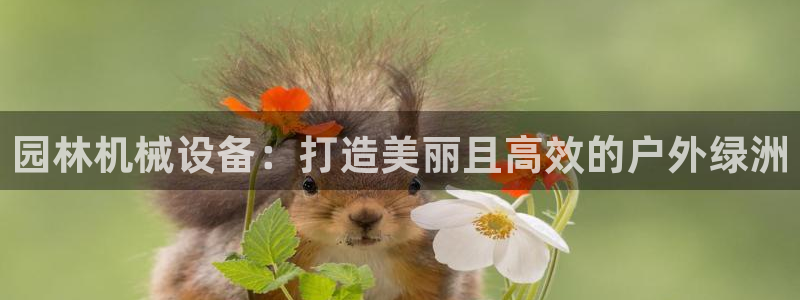 九游会AG在线平台