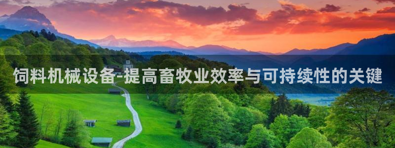 九游会是ag吗