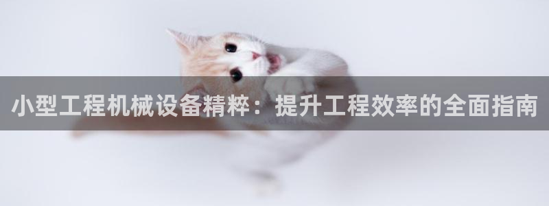 九游会AG登录入口