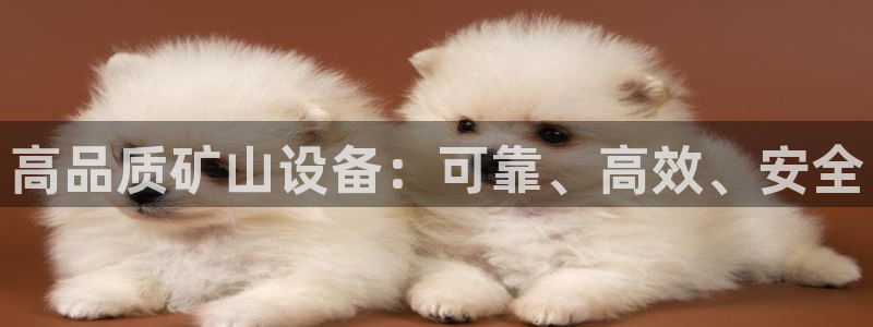 九游会首页进入