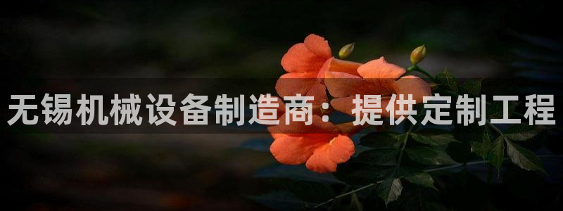 九游会ag318