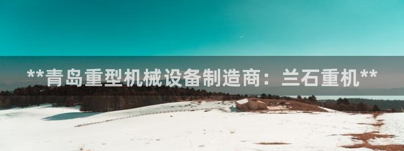 ag改九游会