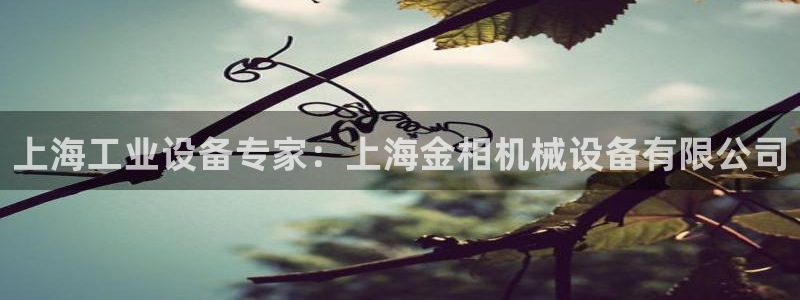 九游会j9网站首页