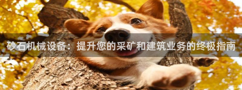 九游会网站打不开了