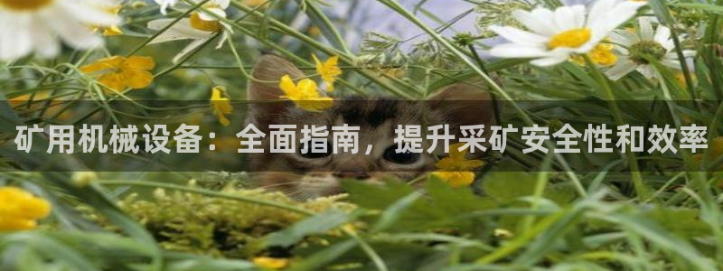 九游会app下载版官网正版手游