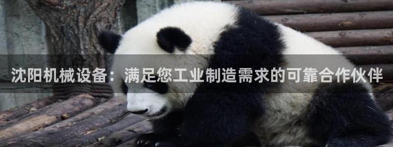 ag九游俱乐部
