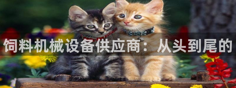 ag九游网