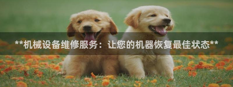 九游会集团国际