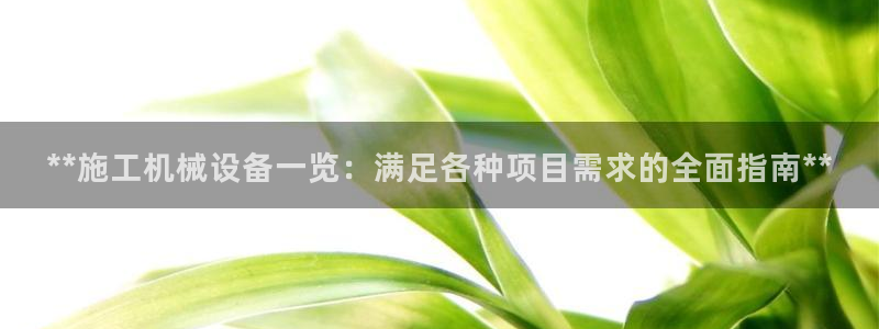 九游会网址大全