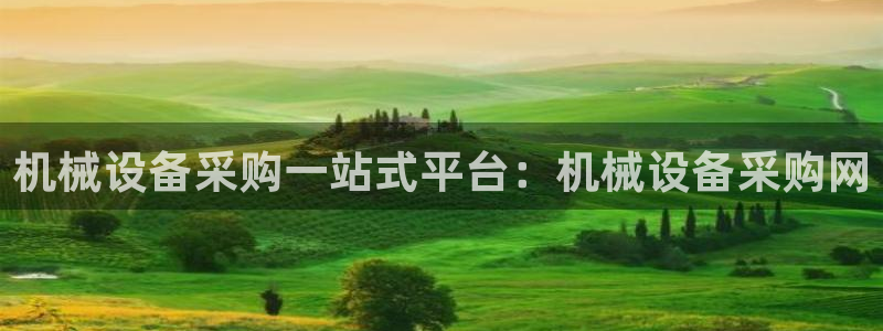 j9九游会怎么样