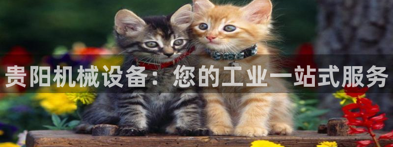 九游会可以提现吗