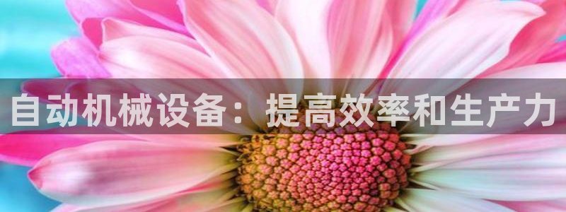九游会ag真人官网