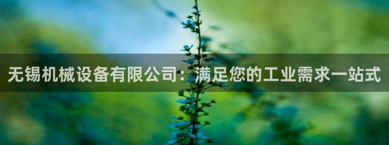 ag亚洲国际游戏九游会