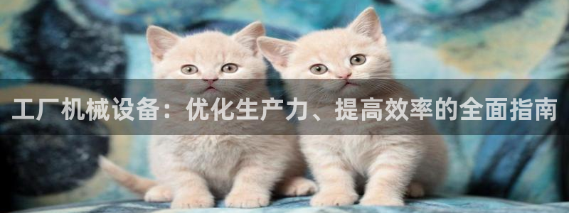 J9九游会是干嘛的