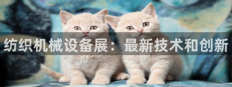 j9九游会跑路了吗