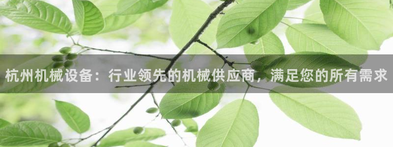 j9九游会ag私享