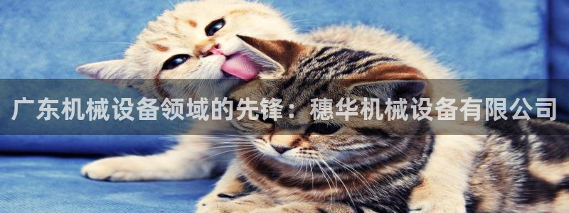 九游会网址是多少