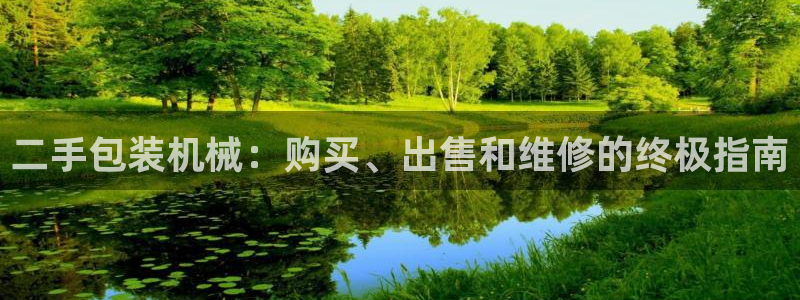 ag九游会论坛
