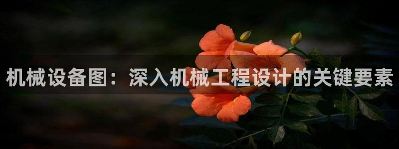 j9九游会永久域名