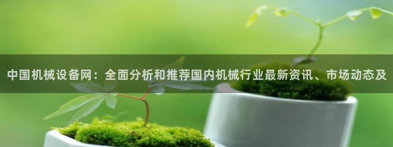 九游会j9官网网站