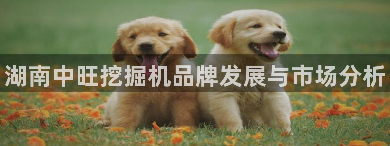九游会官方app