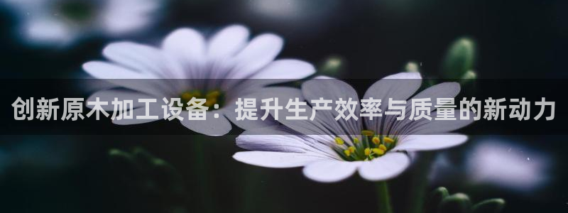 九游会游戏官网网页版