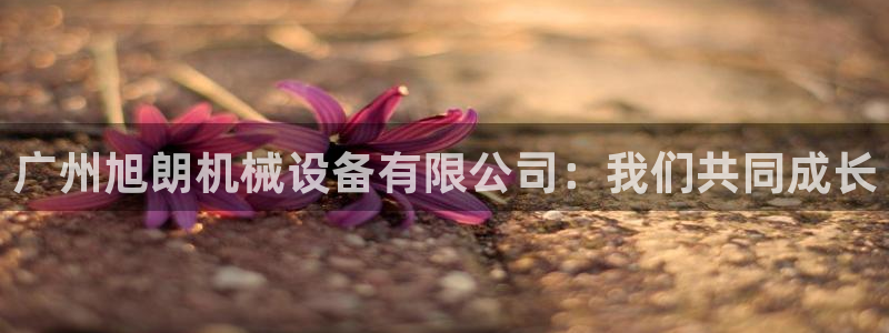 九游会游戏平台是什么