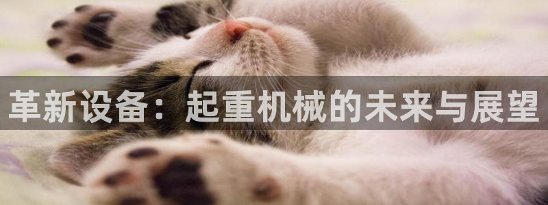 J9九游会是干嘛的