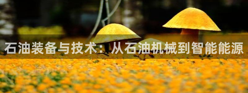 九游会中国j9