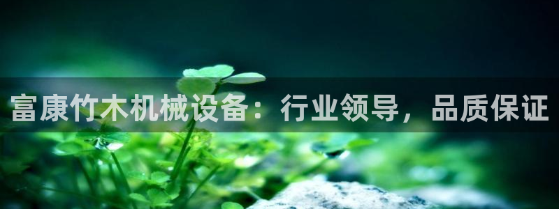 九游会平台登录不上：