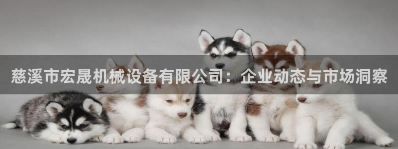 j9官网平台：慈溪市