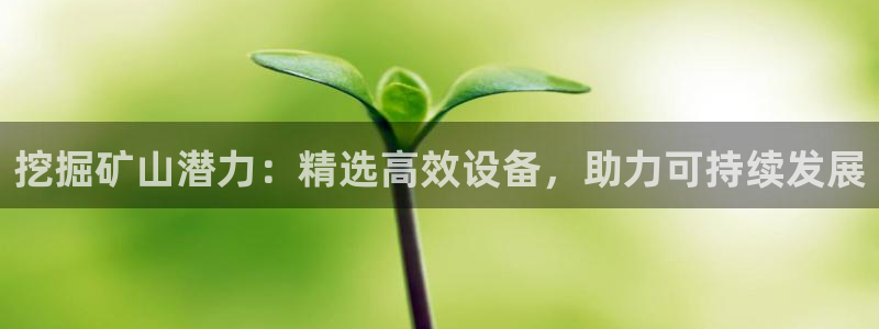 九游会官网真人