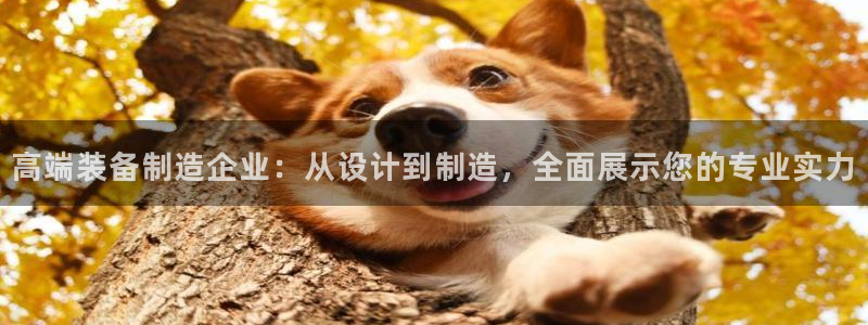 J9九游会强势登录