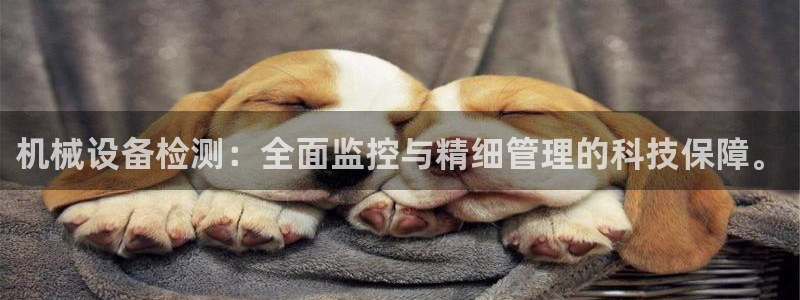 九游会是真的吗