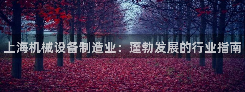 J9九游会老网站