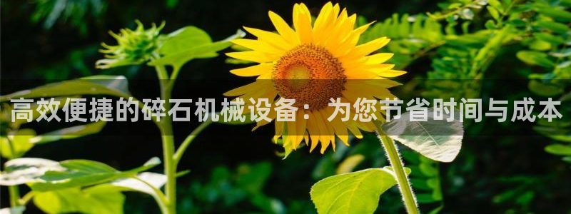 九游会平台稳定吗