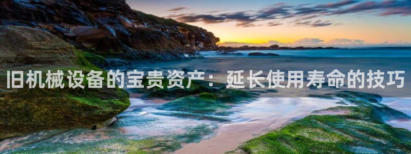 九游会是什么平台