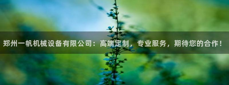 九游会官方：郑州一帆